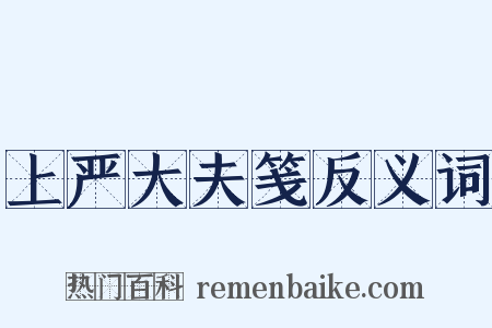 上严大夫笺反义词是什么意思的图片